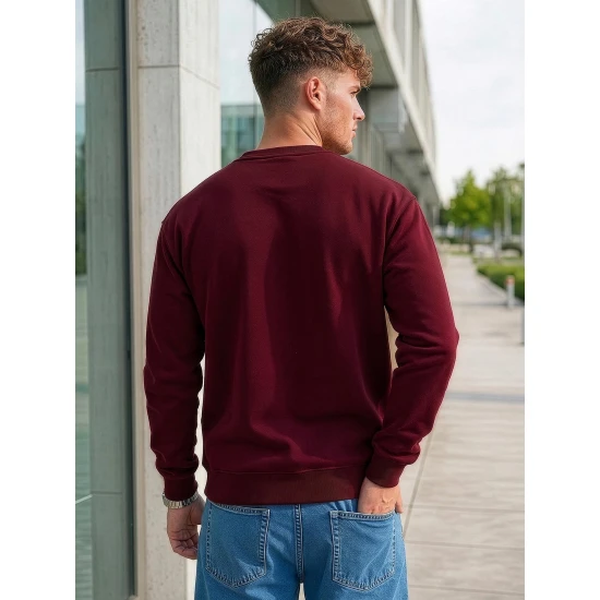 Vīriešu bordo krāsas džemperis ar kapuci Steel Džemperi bez kapuciņiem