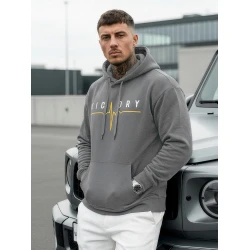 Vīriešu pelēks džemperis Victory