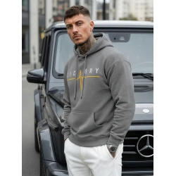 Vīriešu pelēks džemperis Victory