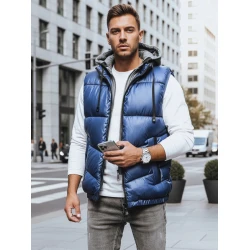 Vīriešu zila veste Viko