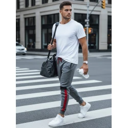 Vīriešu pelēkas ikdienas bikses Edma