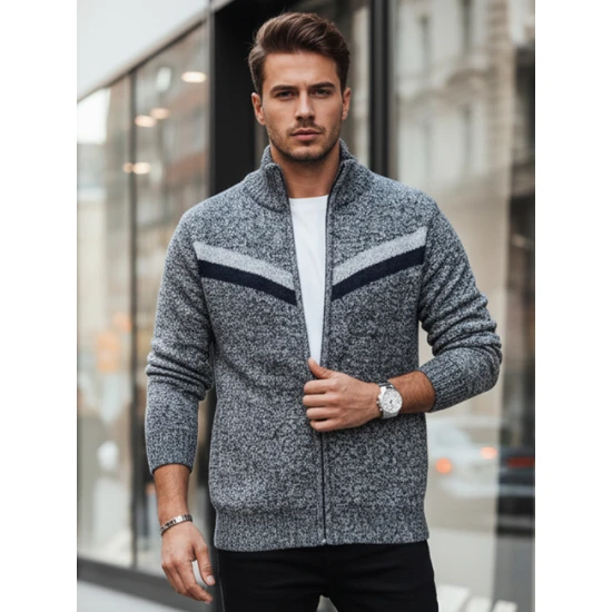 Vīriešu pelēks džemperis Garner