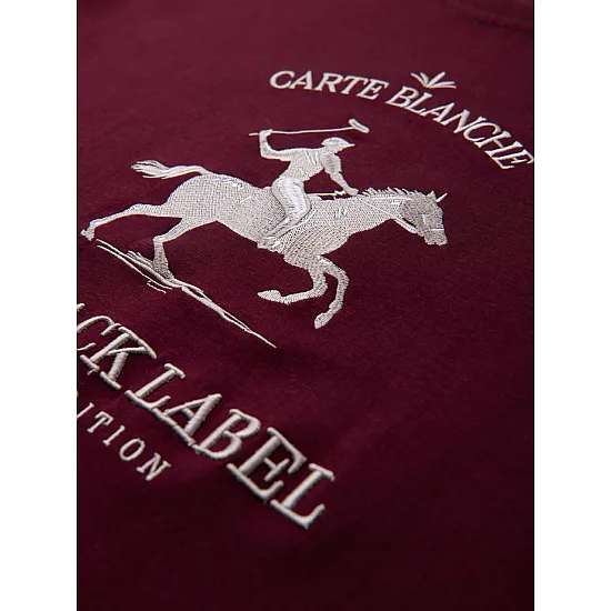 Vīriešu bordo krāsas džemperis „Carte“