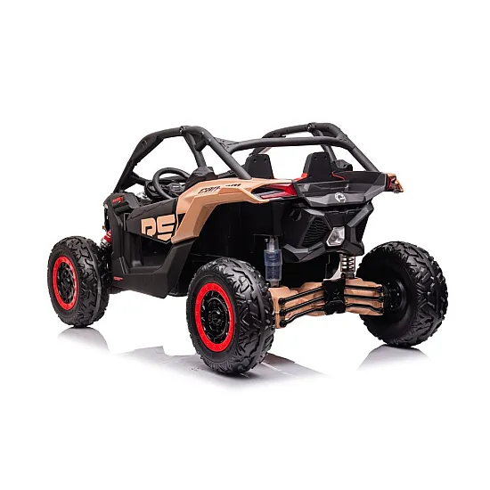 Elektrinis bagis Can-am RS DK-CA001 Automobiliai
