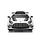 Mercedes AMG GT3 white car