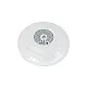 Baterijomis maitinama LED baseino lempa Bestway 58419