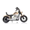 Elektriskais haki krāsas motocikls A9902