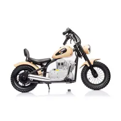 Elektriskais haki krāsas motocikls A9902