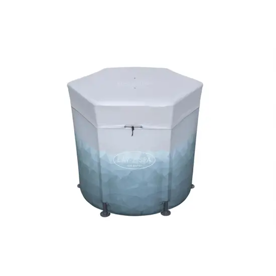 Ledus vannīte 253 l Bestway 6002K