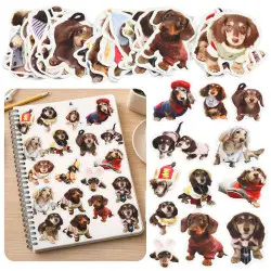 Spaniels uzlīmju komplekts 50 gab.