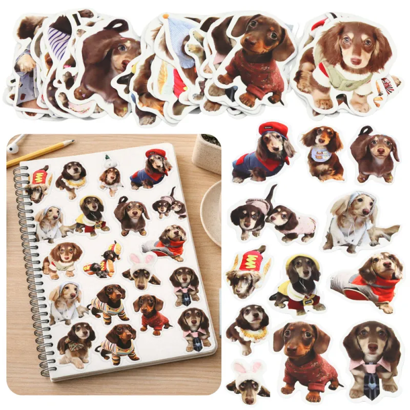 Spaniels uzlīmju komplekts 50 gab. Nelieli kancelejas piederumi