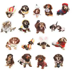 Spaniels uzlīmju komplekts 50 gab.