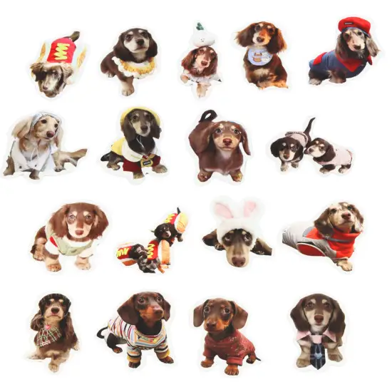 Spaniels uzlīmju komplekts 50 gab. Nelieli kancelejas piederumi