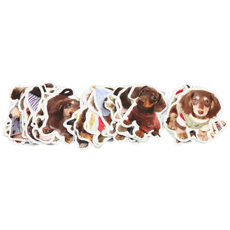 Spaniels uzlīmju komplekts 50 gab. Nelieli kancelejas piederumi