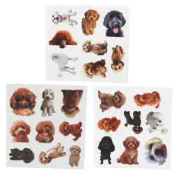 Puppy uzlīmju komplekts 54 gab.