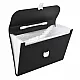 A4-size document folder with 13 compartments