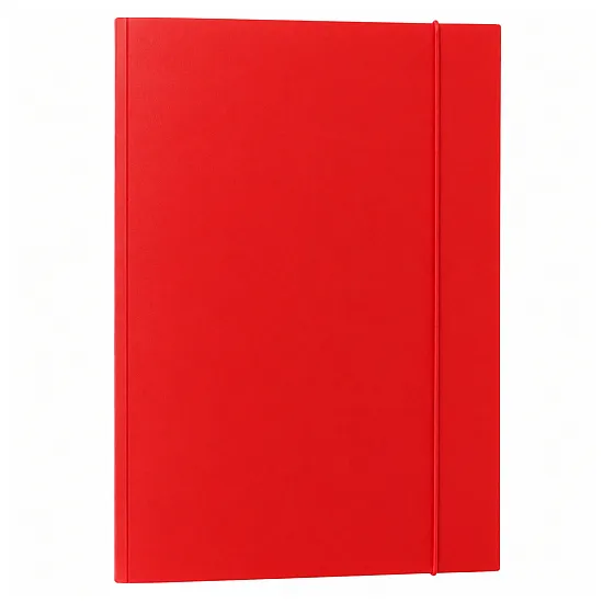 Red A4 Cardboard Document Folder