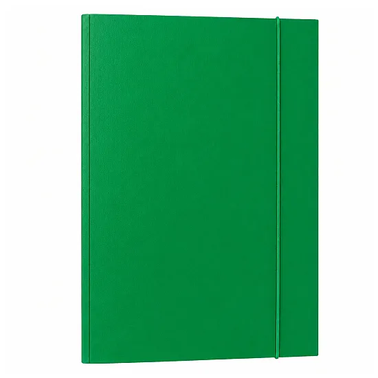 Green A4 Cardboard Document Folder