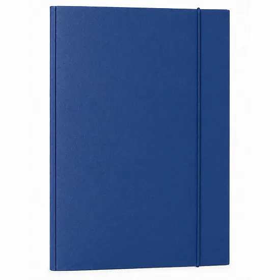 Blue A4 Cardboard Document Folder