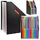 Black Office Document Organizer with 13 Compartments