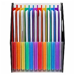 Black Office Document Organizer with 13 Compartments