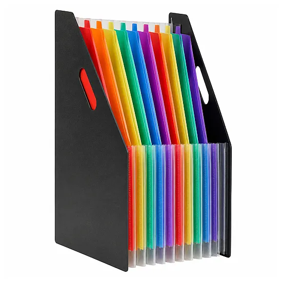 Black Office Document Organizer with 13 Compartments