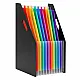 Black Office Document Organizer with 13 Compartments