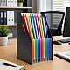 Black Office Document Organizer with 13 Compartments