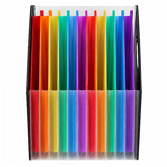 Black Office Document Organizer with 13 Compartments