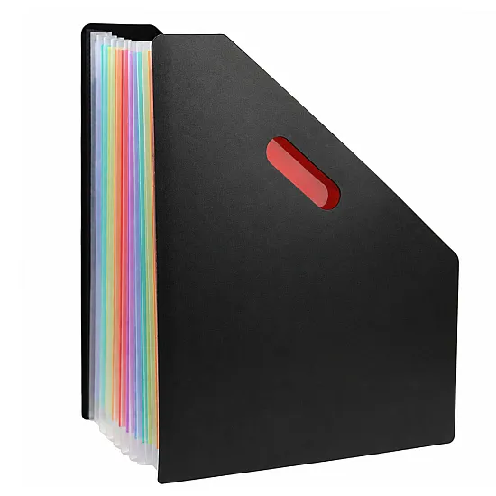 Black Office Document Organizer with 13 Compartments