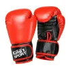 Boksa sporta komplekts: cimdi un treniņu spilventiņš 2-in-1 MUAY THAI