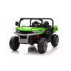 Zaļais elektriskais bagijs XMX623