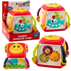 Interaktīvs izglītojošs kubs 