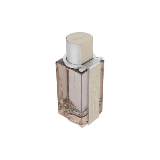 Salvatore Ferragamo Ferragamo Bright Leather Edt 100ml Tualetes ūdens (EDT) Salvatore Ferragamo