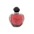Dior Poison Girl EDP 100 ml