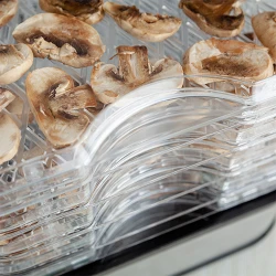 Pārtikas žāvētājs sēnēm un augļiem ELDOM SG500