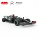 Mercedes-AMG F1 W11 EQ Performance tālvadības automašīna