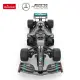 Mercedes-AMG F1 W11 EQ Performance tālvadības automašīna
