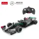 Mercedes-AMG F1 W11 EQ Performance tālvadības automašīna