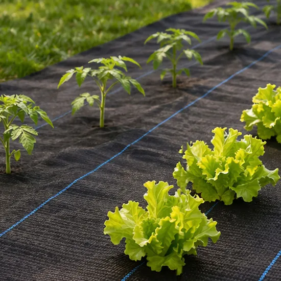 Melns nezāļu apkarošanas agrotīkls 135 g/m² 1,1×50 m MultiGarden