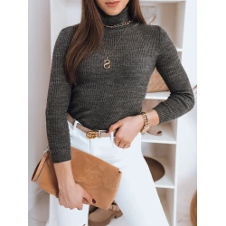 Tumši pelēks džemperis ar augstu kaklu Silver