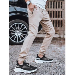 Brūnas vīriešu ikdienas bikses Weedy