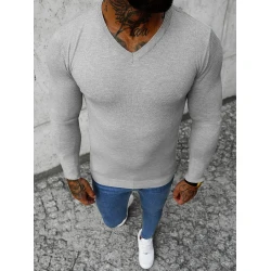 Gozil pelēks vīriešu džemperis