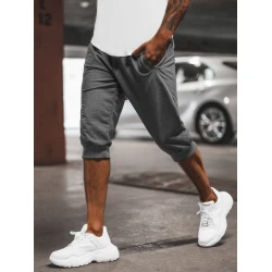 Pelēkas vīriešu sporta bikses Losil