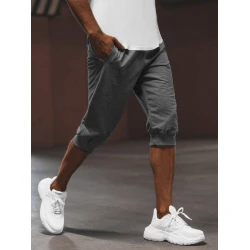 Pelēkas vīriešu sporta bikses Losil