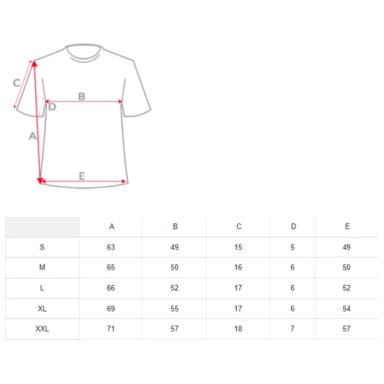 Pelēks vīriešu T-krekls Lika JS/712005
