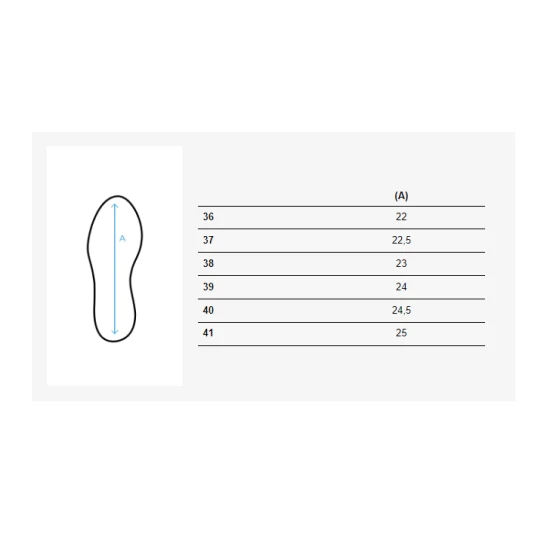 Sieviešu ikdienas apavi brūnā krāsā Tega ZY0115