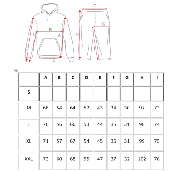 Vīriešu pelēks uzvalks Lietuva Sportinis2 Premium