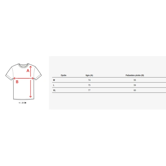 Vīriešu balts T-krekls Original RX4646