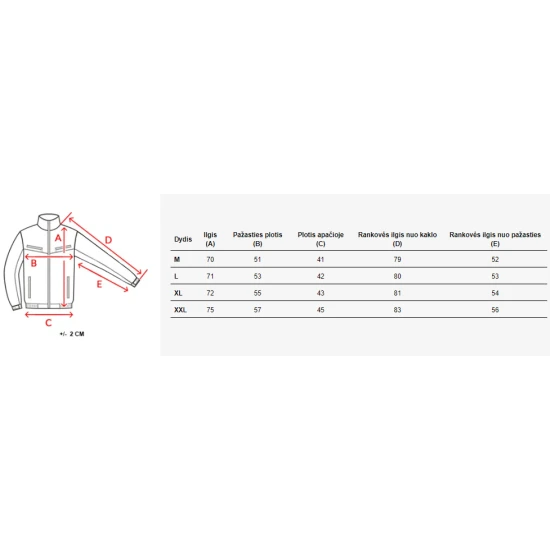 Vīriešu pelēka jaka Serg TX4422